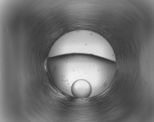 X0000063530094200601201203