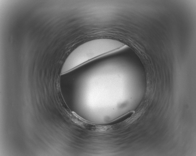 X0000063530096200601201203