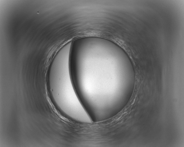 X0000063530097200601201202