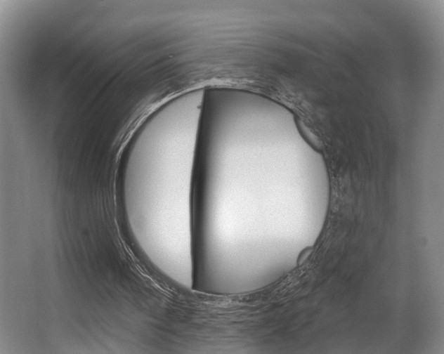 X0000063530098200601201202