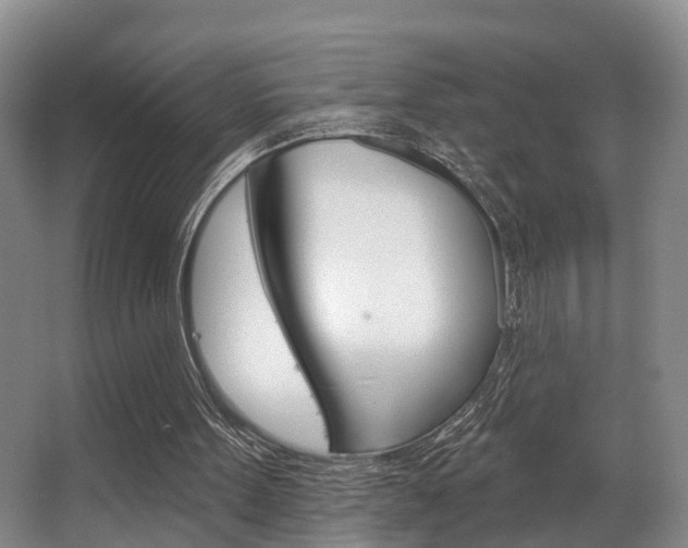 X0000063530099200601201202