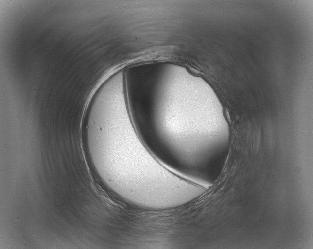 X0000063530100200601201202