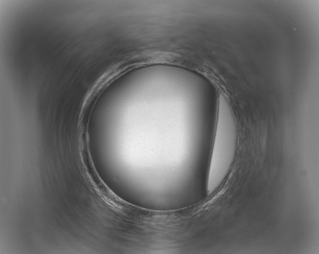 X0000063530101200601201202