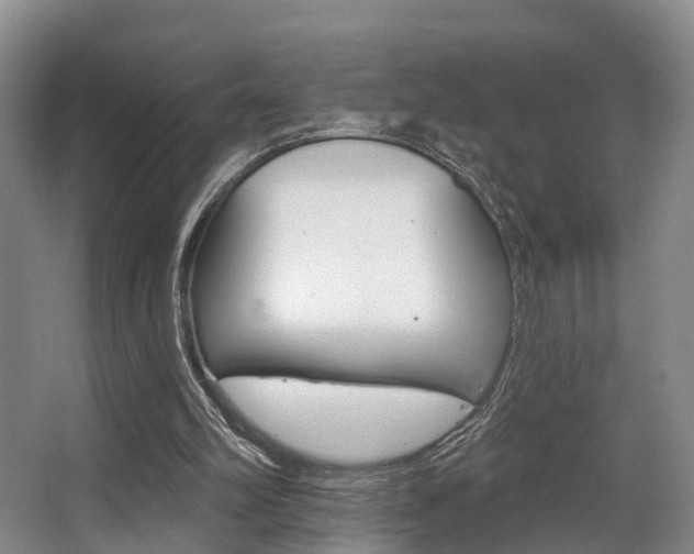 X0000063530102200601201202