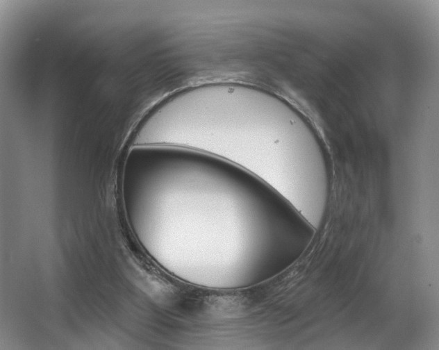 X0000063530107200601201202