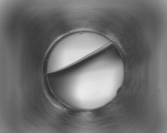 X0000063530108200601201202