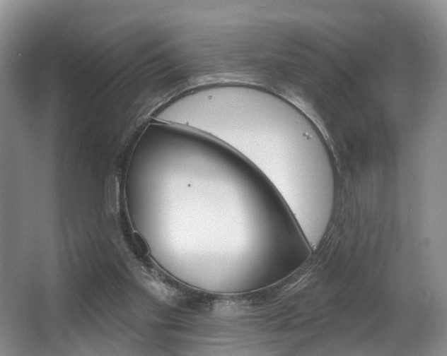 X0000063530109200601201202