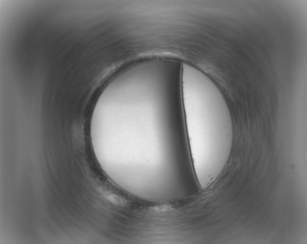 X0000063530112200601201202