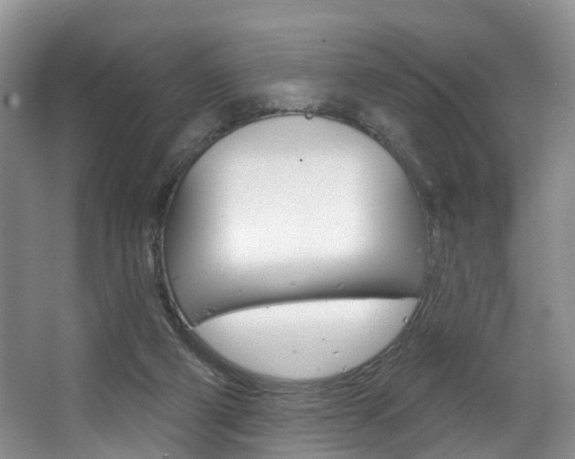 X0000063530114200601201202