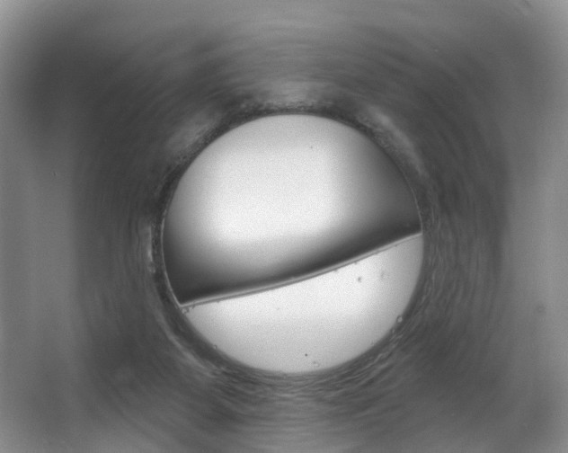 X0000063530115200601201202