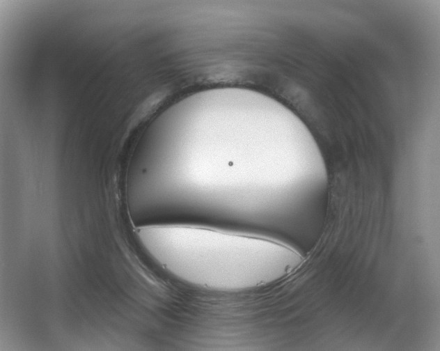 X0000063530116200601201202