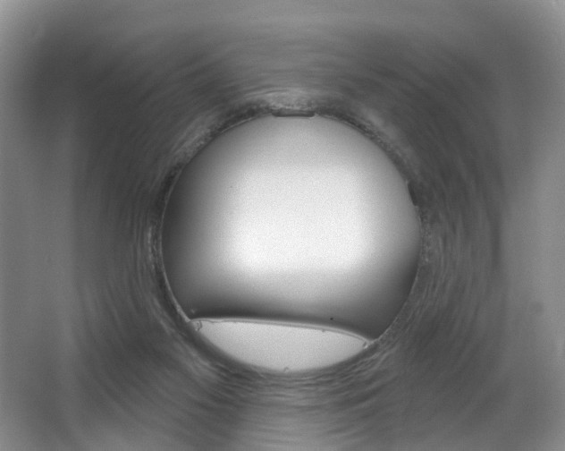 X0000063530117200601201202