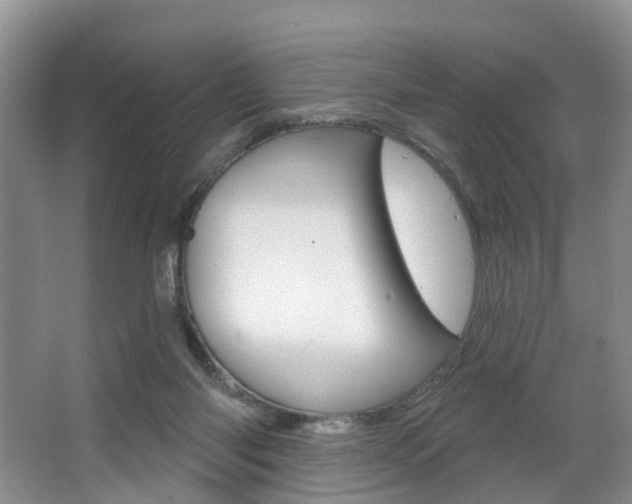 X0000063530118200601201202