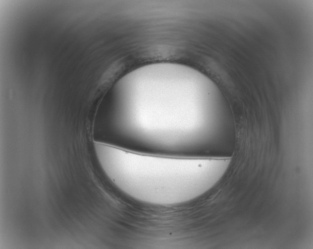 X0000063530119200601201202