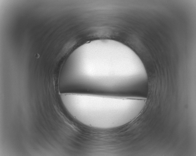 X0000063530120200601201202