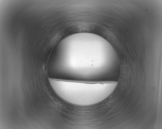 X0000063530123200601201202