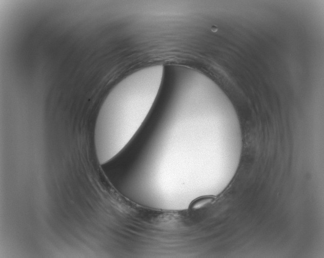 X0000063530124200601201202