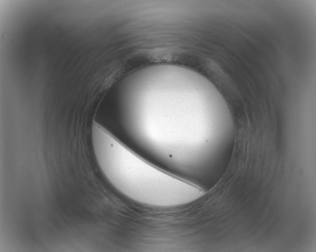 X0000063530125200601201202