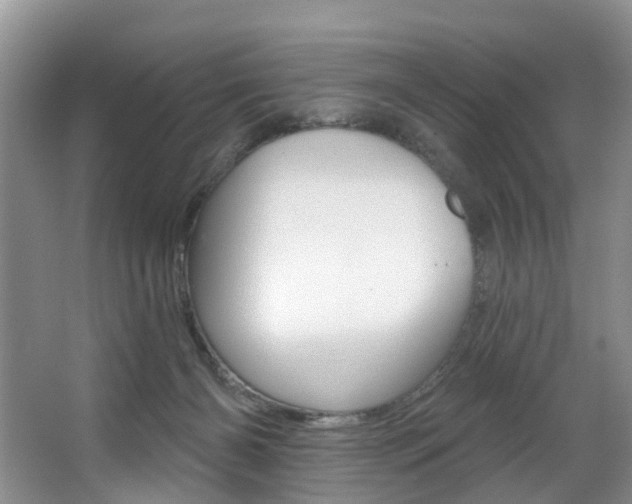 X0000063530126200601201202