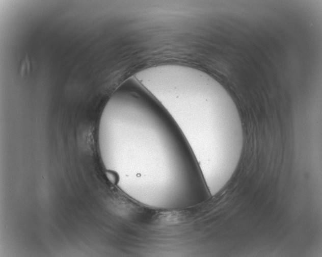 X0000063530127200601201202