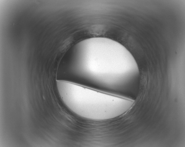 X0000063530128200601201202