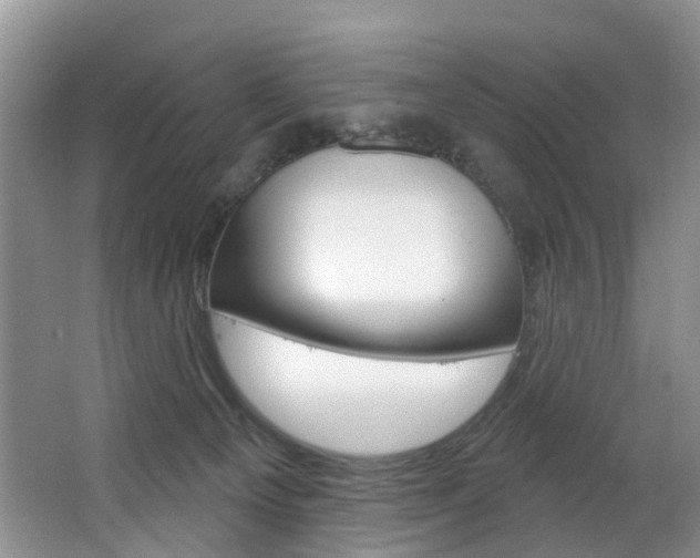 X0000063530129200601201202