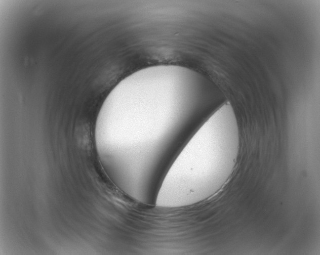 X0000063530132200601201201