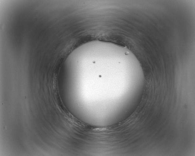 X0000063530133200601201201