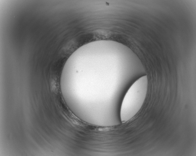 X0000063530134200601201201