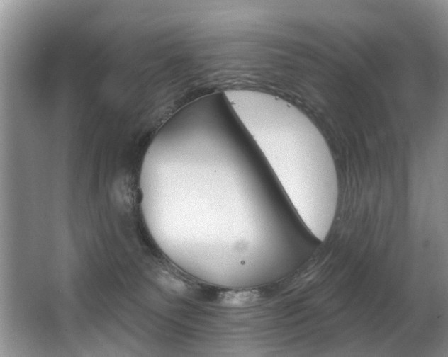 X0000063530135200601201201