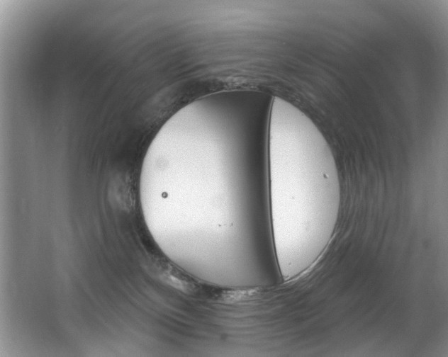 X0000063530136200601201201