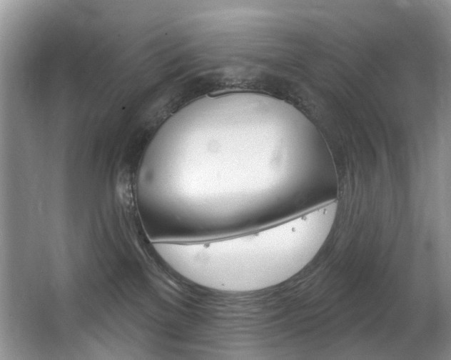 X0000063530137200601201201