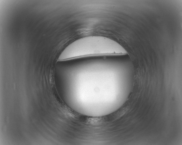 X0000063530139200601201201