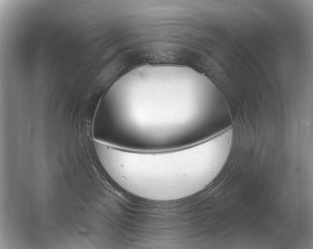 X0000063530141200601201201