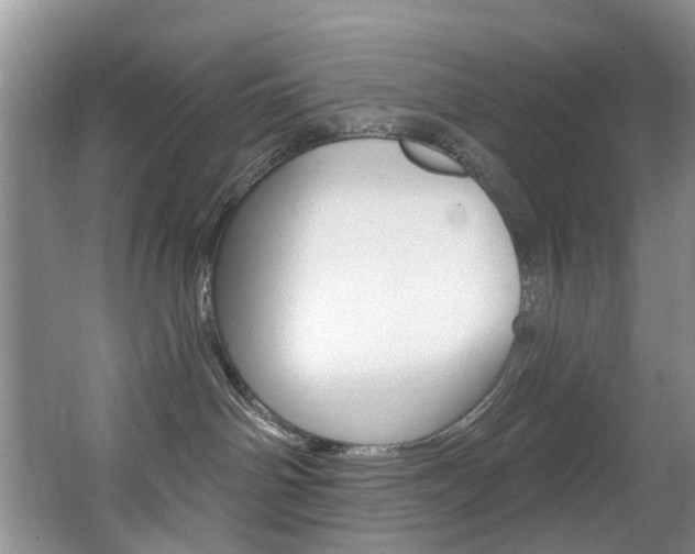 X0000063530142200601201201