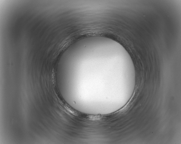 X0000063530144200601201201