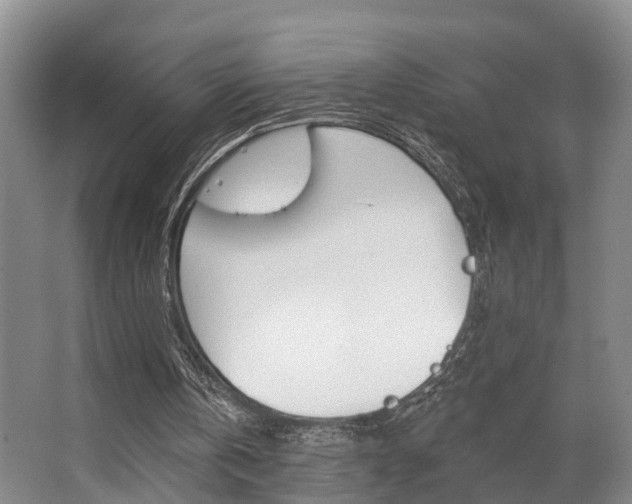 X0000063530146200601201200