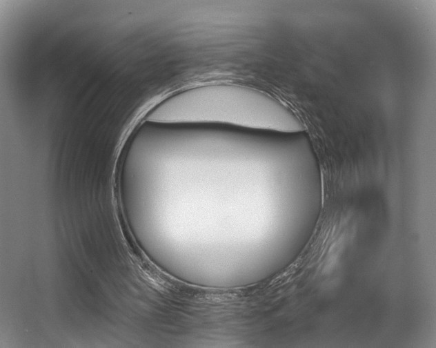 X0000063530147200601201200