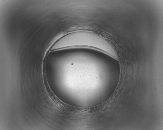 X0000063530148200601201201