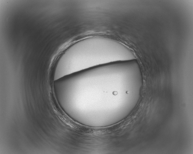 X0000063530149200601201201