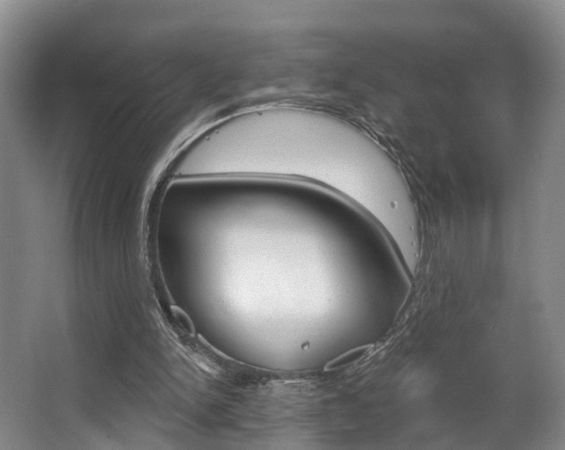 X0000063530150200601201201