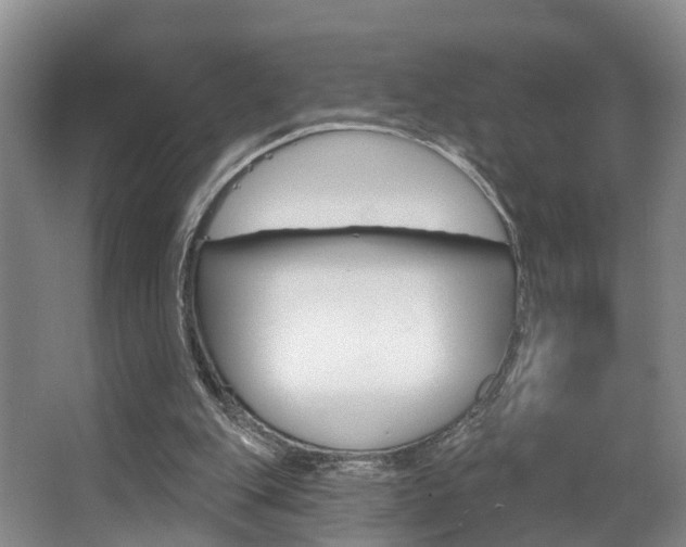 X0000063530151200601201201