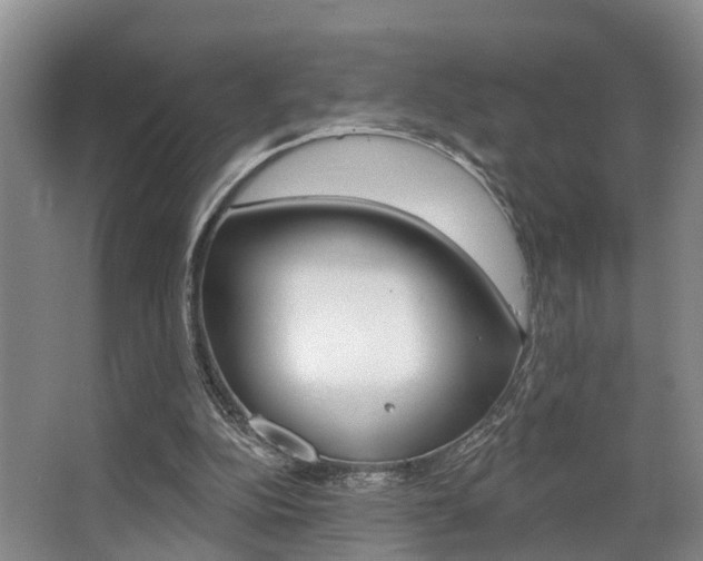 X0000063530152200601201201