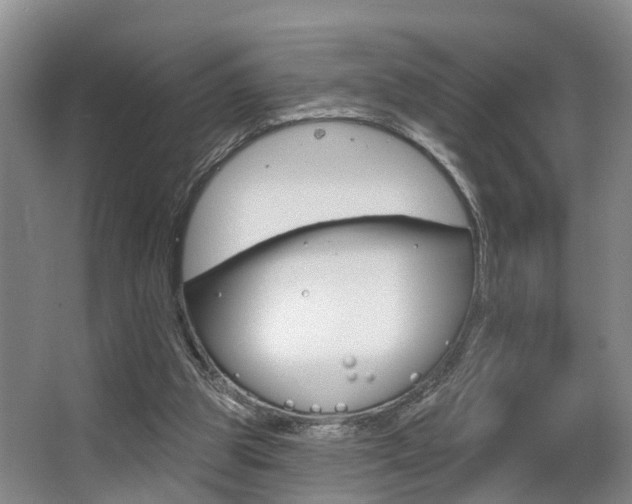 X0000063530153200601201201