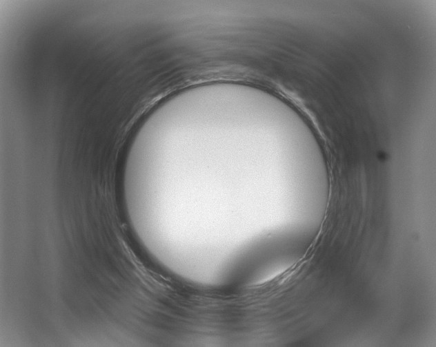 X0000063530154200601201201