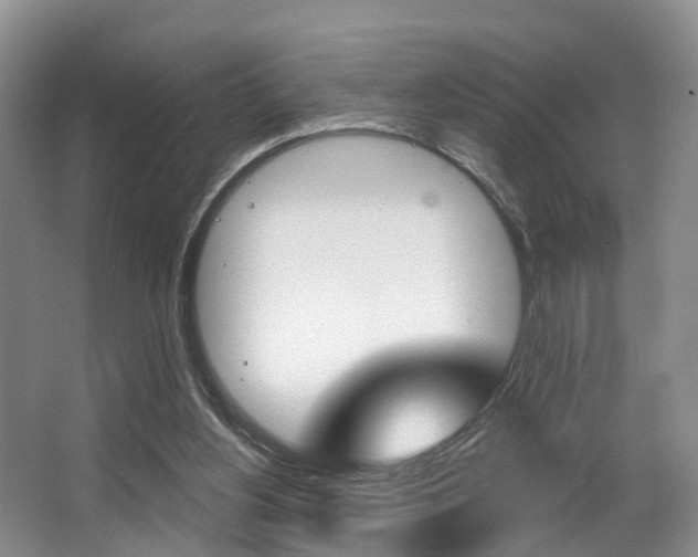 X0000063530156200601201201