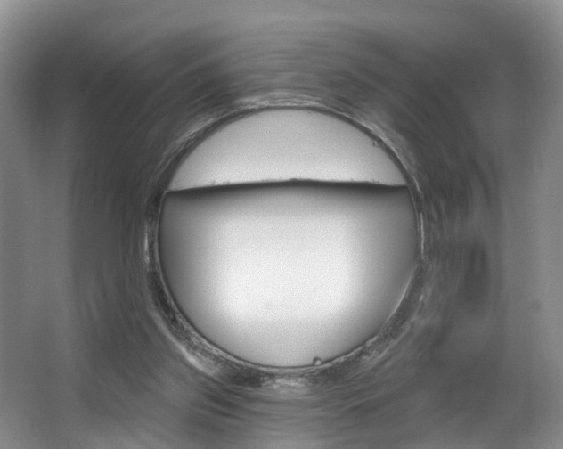 X0000063530157200601201201