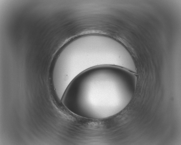 X0000063530160200601201201