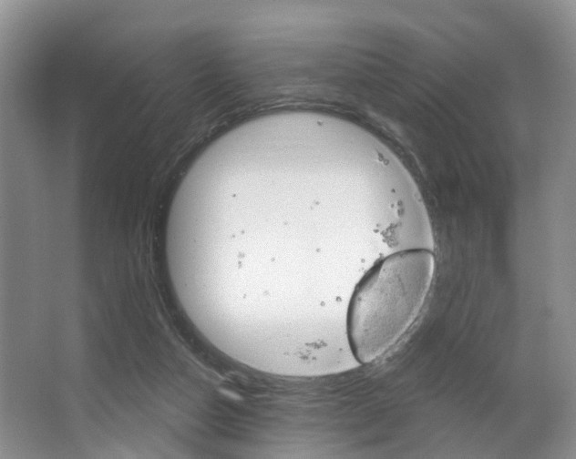 X0000063530162200601201201