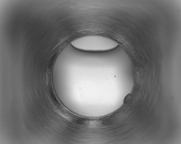 X0000063530165200601201201